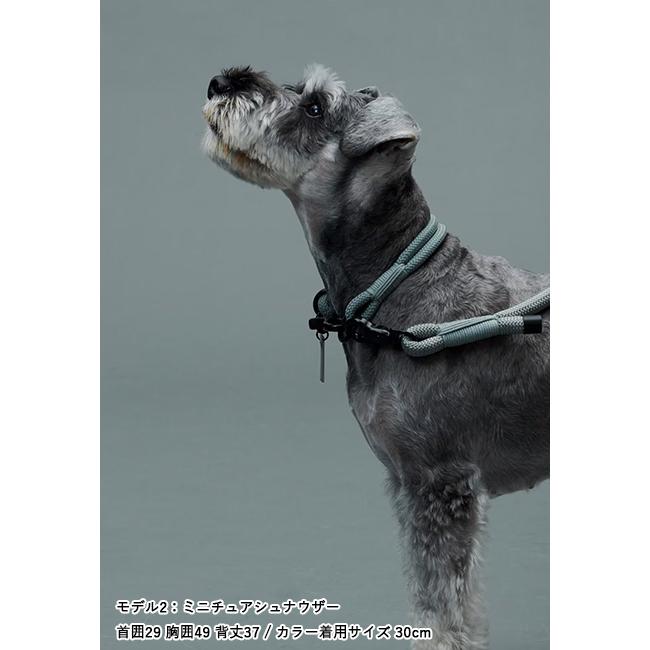 Gris グリ THE COLLAR カラー 25cm DG0010 【 ペット 犬用品 首輪