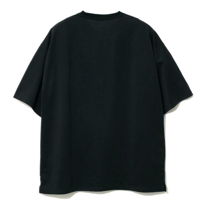 go slow caravan ゴースローキャラバン Drymix DULLゴリラ BIG TEE 395604 【Tシャツ/半袖/トップス/アウトドア】【メール便・代引不可】｜snb-shop｜02