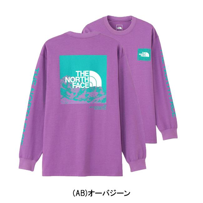 THE NORTH FACE（ザ ノースフェイス） L/S Sleeve Graphic Tee ロング