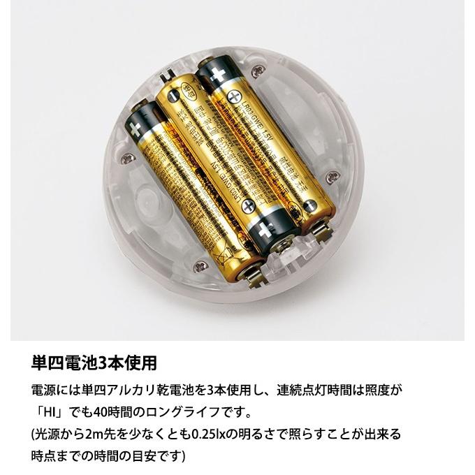 snow peak（スノーピーク） たねほおずき もり ES-041GR 【アウトドア