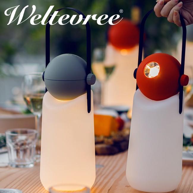 ベニドウダンツツジ【現品発送】管理70341 - メルカリ ベニ