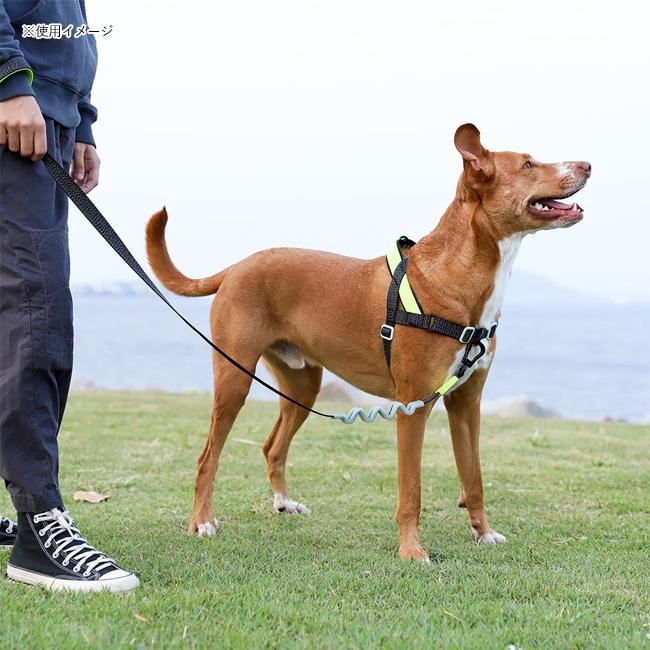 zee.dog ジードッグ RUFF LEASH L ラフリーシュL 【 犬 紐 リード 衝撃吸収 着脱簡単 アウトドア 散歩 小型犬 中型犬 】【メール便・代引不可】 | ブランド登録なし | 05
