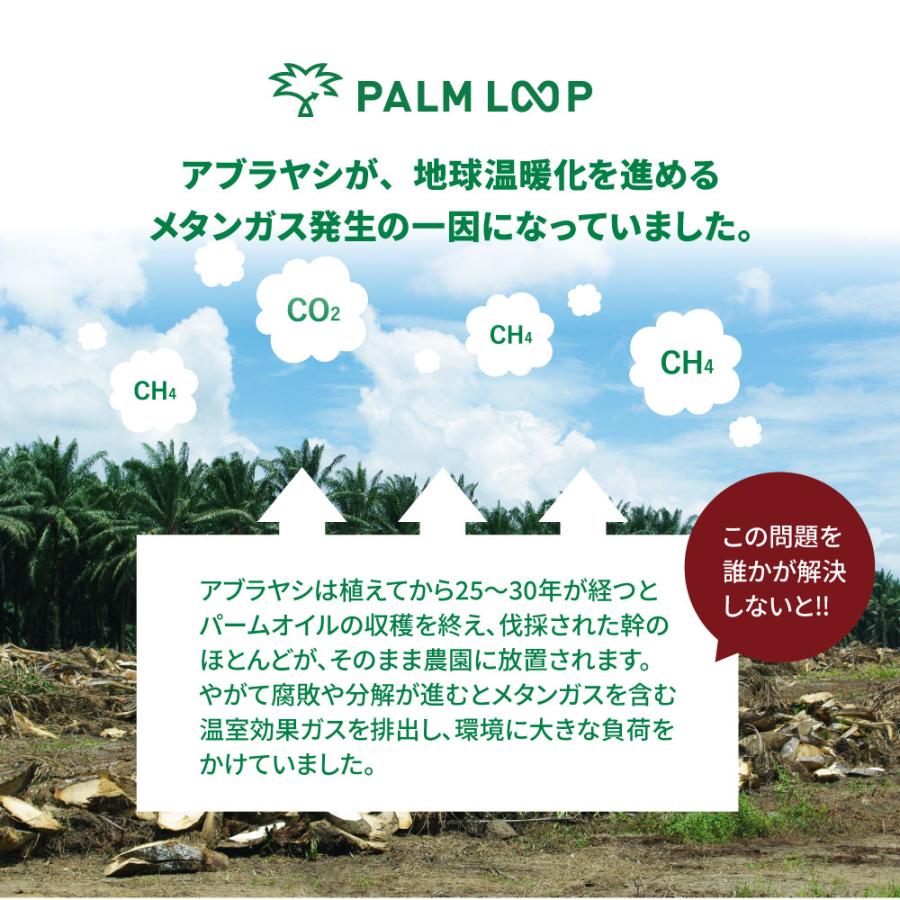 日本製 すのこベッド 流香 LUKA フレームのみ シングル 再生ボード PALM LOOP 耐久性 防虫 抗菌 低ホルマリン 組立簡単 チヨダ S 4-002