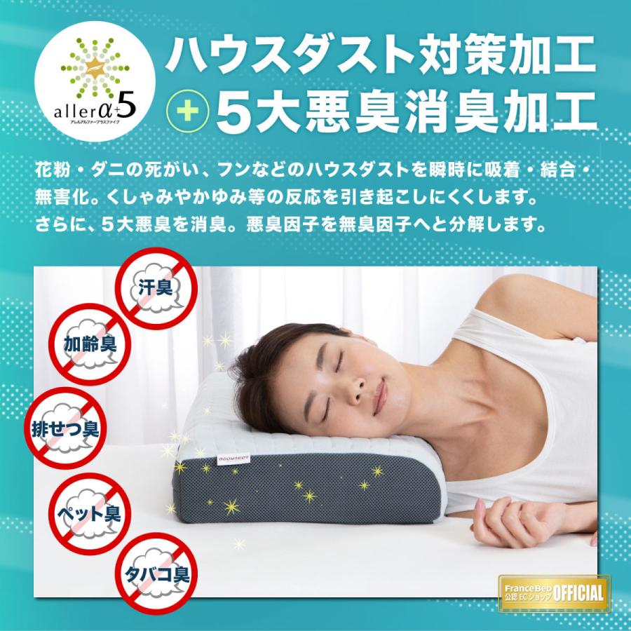 フランスベッド 【正規品】 ピロー 枕 ボディテクト 日本製 フランスベッド 【正規品】 ピロー 枕 ボディテクト 日本製