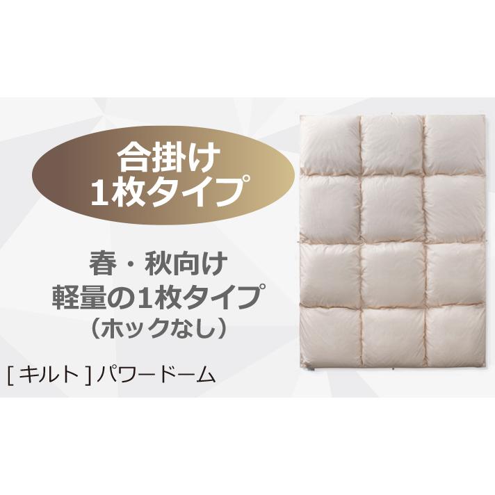 フランスベッド（FRANCEBED） 羽毛布団 合掛け Q クイーン LT JO-06