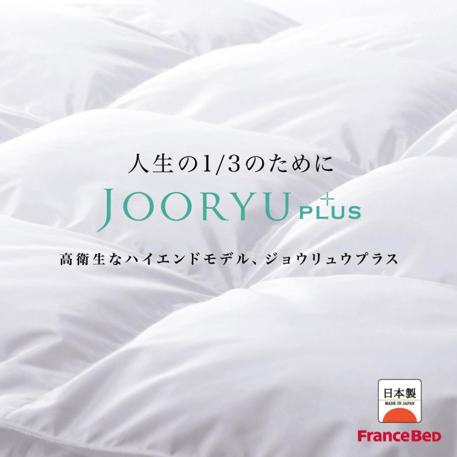 フランスベッド 羽毛布団 合掛け D ダブル LT JP-06 ジョウリュウプラス JOORYU ホワイトグースダウン95% ポーランド産 制菌 消臭 防ダニ 10年保証 日本製｜sndinterior｜02