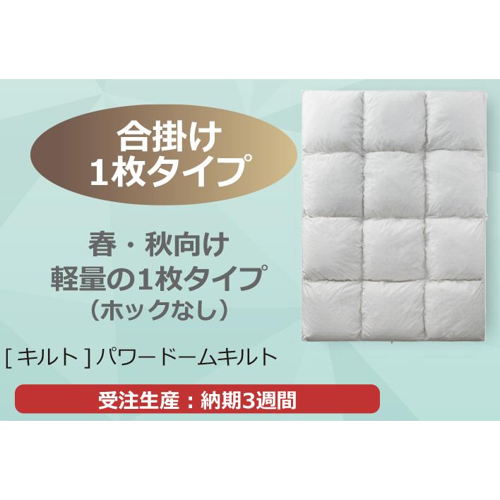 フランスベッド（FRANCEBED） 羽毛布団 合掛け D ダブル LT JP-06