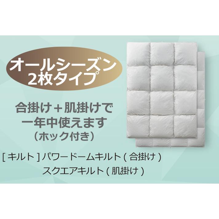 フランスベッド（FRANCEBED） 羽毛布団 オールシーズン 2枚合わせ S