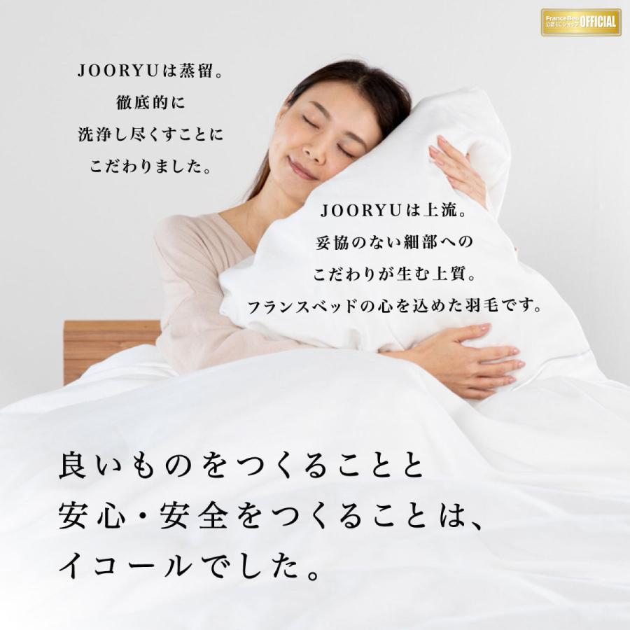 フランスベッド 羽毛布団 オールシーズン 2枚合わせ D ダブル LT JP-07 JOORYU プレミアムグースダウン95% ポーランド産 制菌 消臭 防ダニ 10年保証 日本製の画像