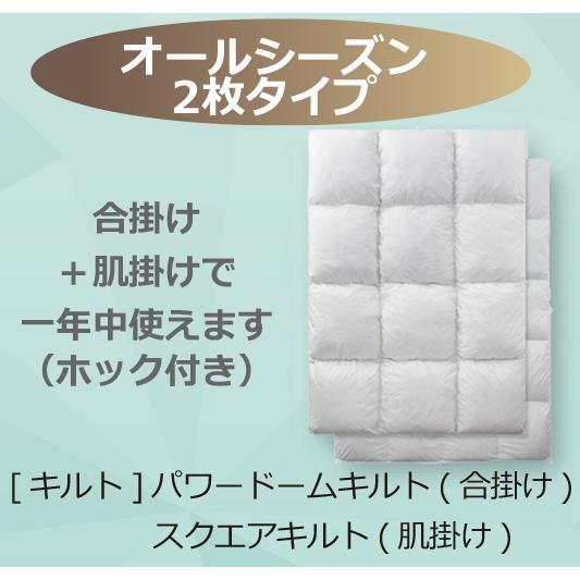 フランスベッド（FRANCEBED） 羽毛布団 オールシーズン 2枚合わせ Q