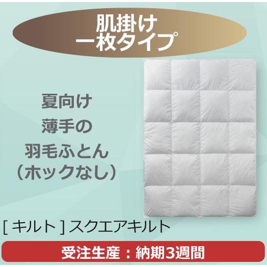フランスベッド（FRANCEBED） 【正規品】 羽毛布団 肌掛け Q クイーン