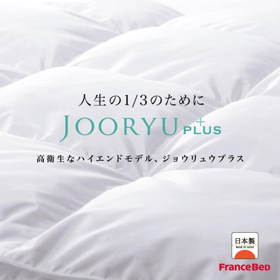 フランスベッド 【正規品】 羽毛布団 1枚タイプ Q クイーン LT JP-07 JOORYU プレミアムグースダウン95% ポーランド産 制菌 消臭 防ダニ 10年保証の画像
