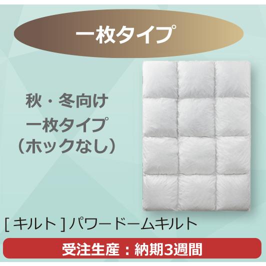 フランスベッド 【正規品】 羽毛布団 1枚タイプ Q クイーン LT JP-07 JOORYU プレミアムグースダウン95% ポーランド産 制菌 消臭 防ダニ 10年保証の画像