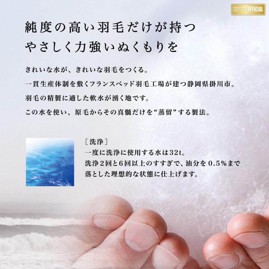 フランスベッド 【正規品】 羽毛布団 1枚タイプ Q クイーン LT JP-07 JOORYU プレミアムグースダウン95% ポーランド産 制菌 消臭 防ダニ 10年保証の画像