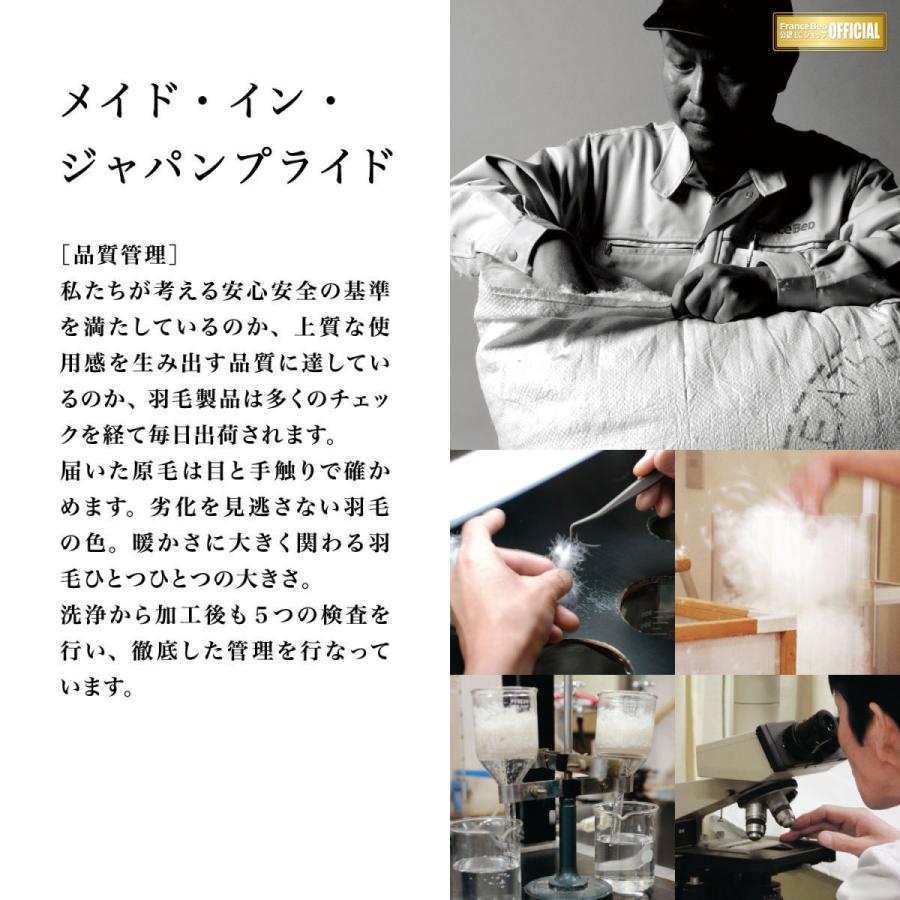 フランスベッド 【正規品】 羽毛布団 1枚タイプ Q クイーン LT JP-07 JOORYU プレミアムグースダウン95% ポーランド産 制菌 消臭 防ダニ 10年保証の画像
