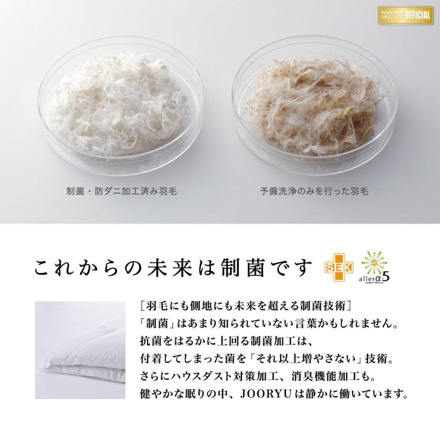 フランスベッド 【正規品】 羽毛布団 1枚タイプ Q クイーン LT JP-07 JOORYU プレミアムグースダウン95% ポーランド産 制菌 消臭 防ダニ 10年保証の画像