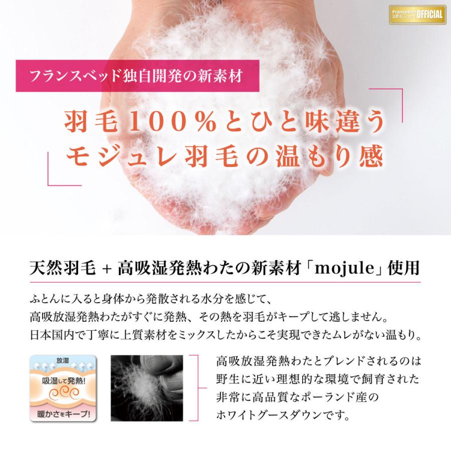 フランスベッド（FRANCEBED） 羽毛布団 合掛け Q クイーン LT MJ-03