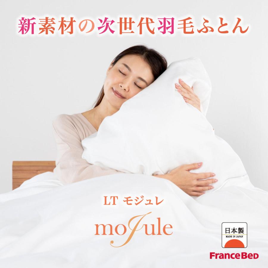 フランスベッド（FRANCEBED） 羽毛布団 合掛け S シングル LT MJ-03 
