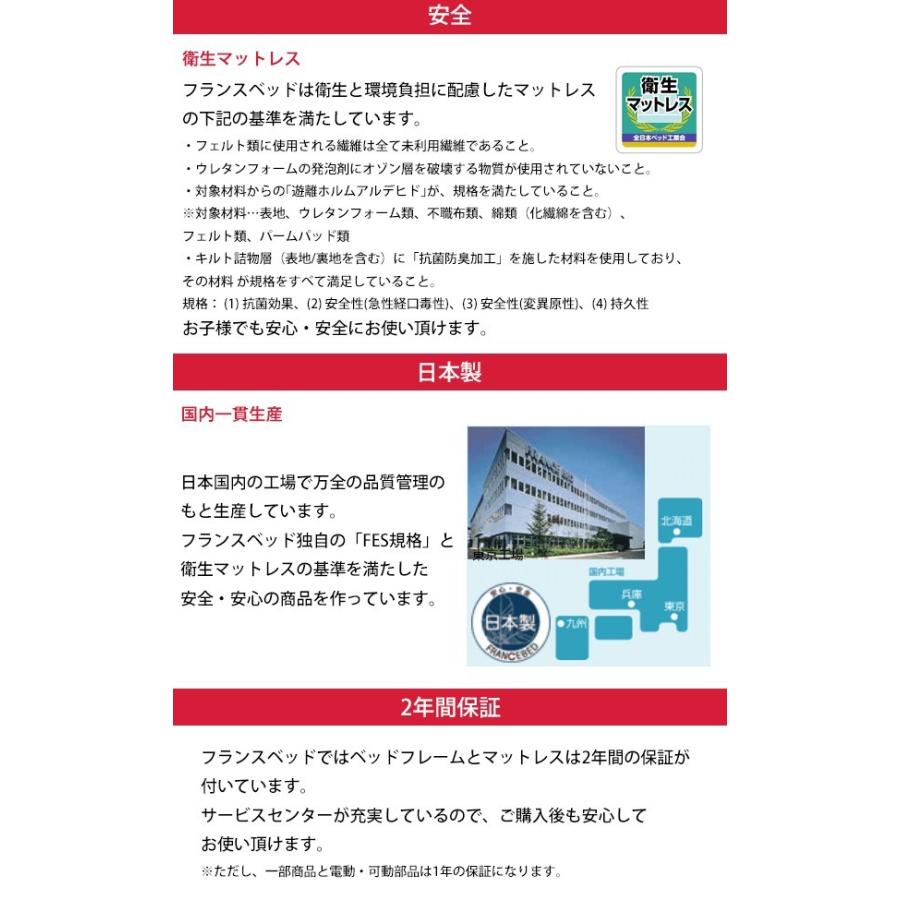 新入荷!!【日本未発売】 ソファベッド シングル ブラック ブラウン 本革 フランスベッド ルーカス 組立設置込 【FKP2625634786】(95040円)