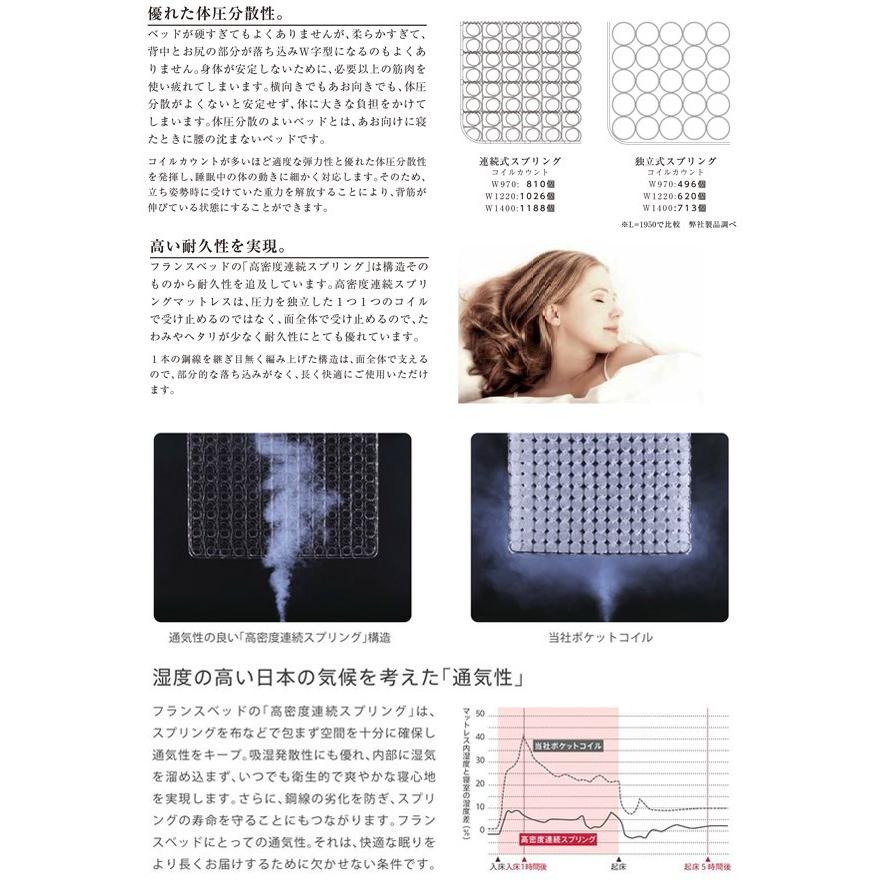 新入荷!!【日本未発売】 ソファベッド シングル ブラック ブラウン 本革 フランスベッド ルーカス 組立設置込 【FKP2625634786】(95040円)