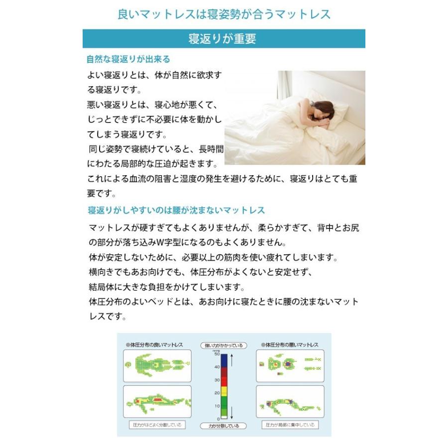 新入荷!!【日本未発売】 ソファベッド シングル ブラック ブラウン 本革 フランスベッド ルーカス 組立設置込 【FKP2625634786】(95040円)