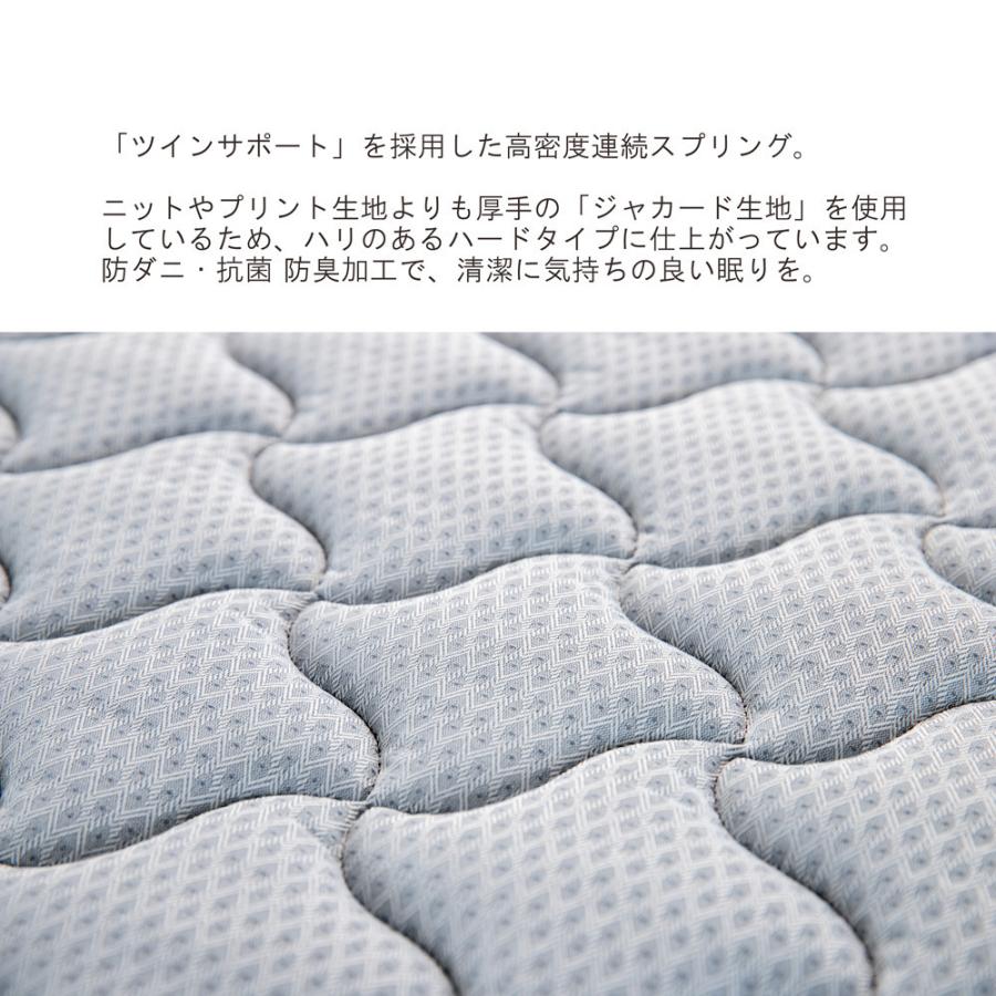 フランスベッド（FRANCEBED） 【正規品】 マットレス TW-010α ツイン