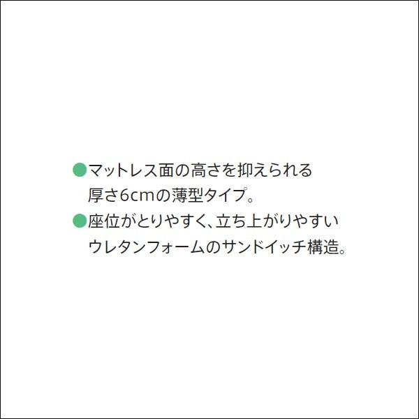 フランスベッド 介護用マットレス 高弾性ウレタン 薄型 フランスベッド 介護用マットレス 高弾性ウレタン 薄型