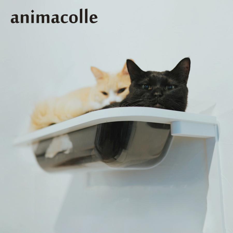 animacolle アニマコレ キャットステップ キャットタワー キャットバス