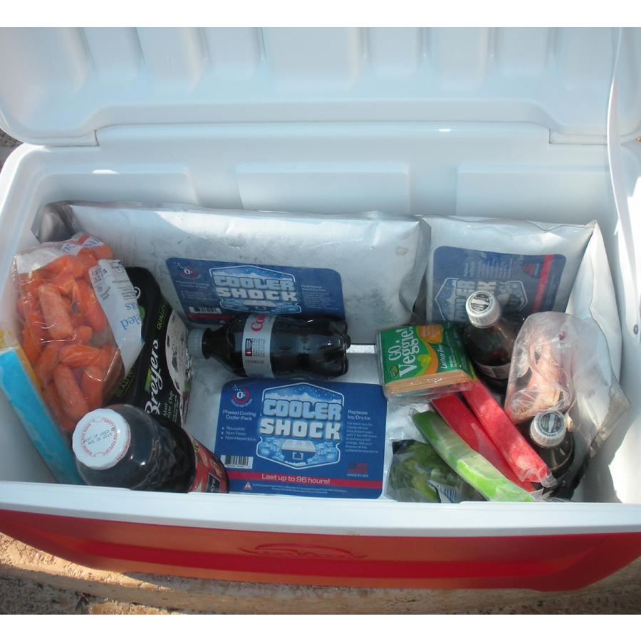 cooler shock クーラーショック 保冷剤 Sサイズ 5個セット 長時間 ジェル アイスパック 保冷パック 氷点下 長持ち 7CSSSET | COOLER SHOCK | 11