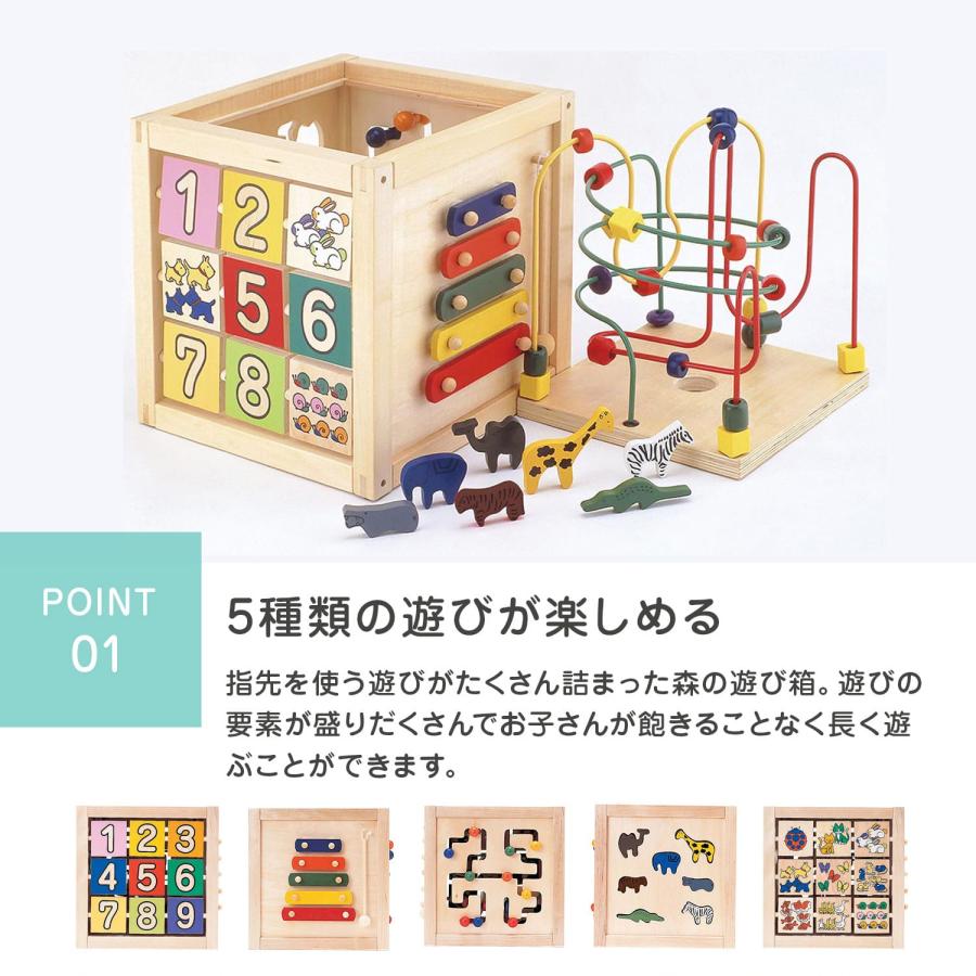 エド・インター（Ed・Inter） GENI ジェニ 森のあそび箱 型はめ パズル