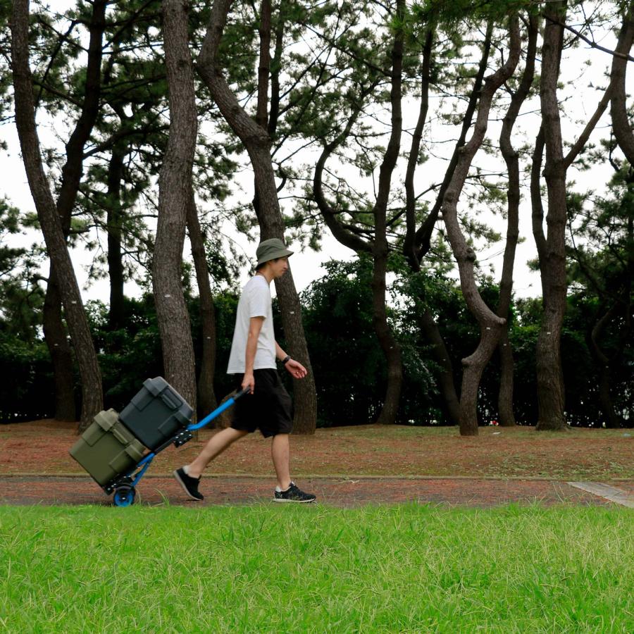 FLAT CART 2×4（フラットカートツーバイフォー） F-CART2×4 キャリー