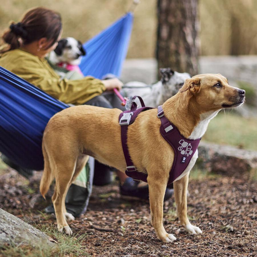 フルッタ Hurtta ハーネス 犬 中型犬 大型犬 Y型 抜けない 脱げない