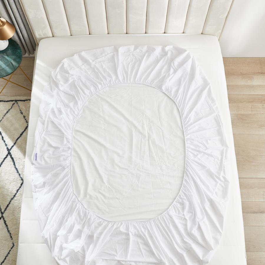 プロテクトアベッド PROTECTABED ベットシーツ ボックスシーツ マットレスカバー セミダブル 丸洗い 防水 吸水 速乾 CL