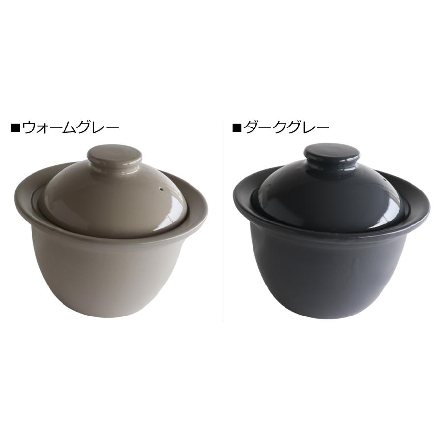 SALIU（サリュウ） 特典付き 炊飯土鍋 3合炊き ご飯 ごはん鍋 直火用