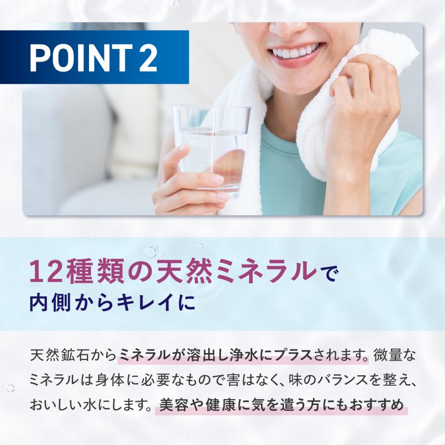 ULeAU（ウルオ） 交換用フィルターカートリッジ 2点セット 浄水器用
