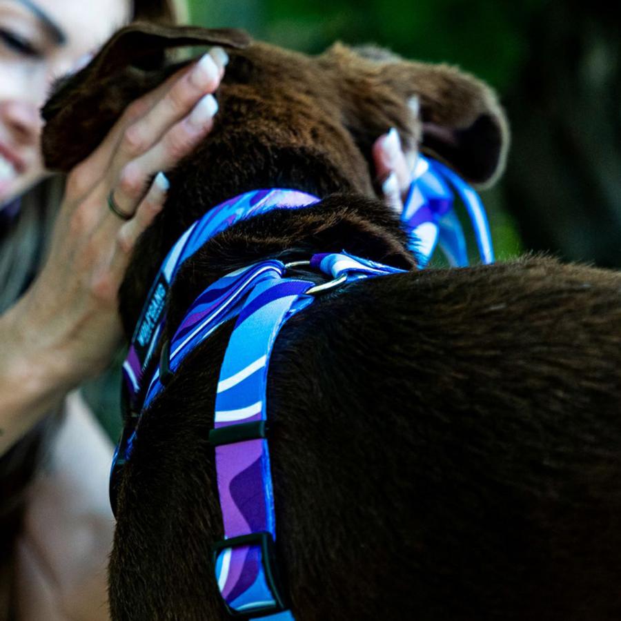 ウルフギャング WOLFGANG ハーネス 犬用品 大型犬 Lサイズ HARNESS マン\u0026ビースト MAN\u0026BEASTの画像