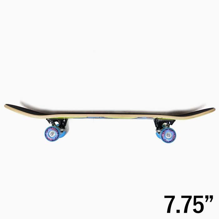 SANTA CRUZ（サンタクルーズ） 【スケボー コンプリート 7.75 7.8 8.0