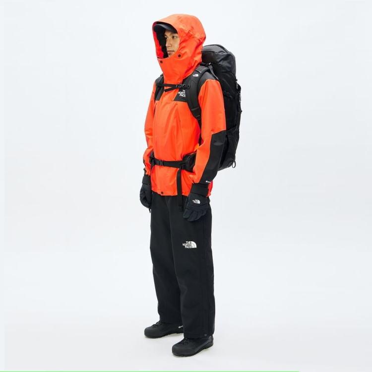 THE NORTH FACE（ザ ノースフェイス） 交換送料片道無料 ノース