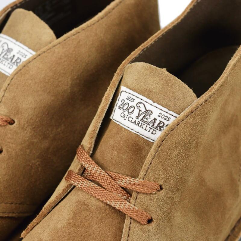 Clarks（クラークス） メンズ デザート ブーツ エヴォ Desert Bt Evo