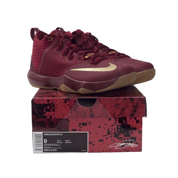 lebron ambassador ix