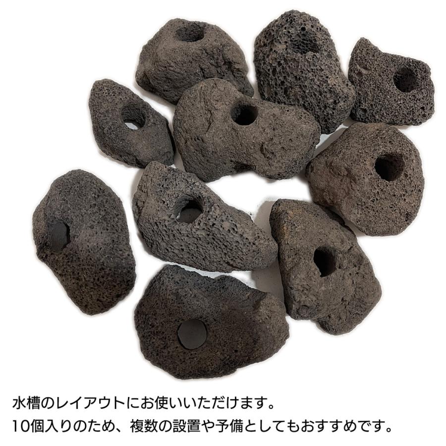 水槽 レイアウト 石 溶岩石 穴あき 水草固定用 SN-299-AY : すみよし屋
