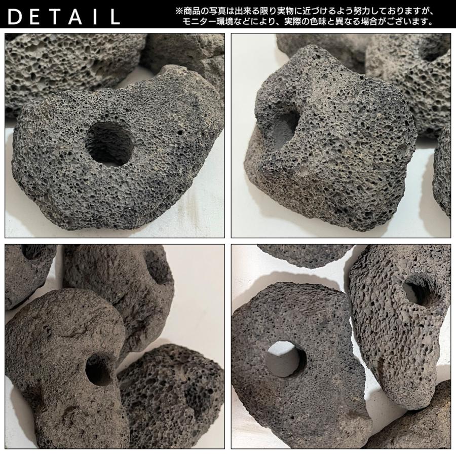 水槽 レイアウト 石 溶岩石 穴あき 水草固定用 SN-299-AY : すみよし屋