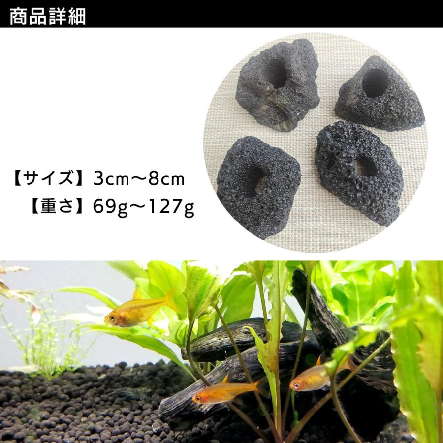 水槽 レイアウト 石 溶岩石 穴あき 水草固定用 SN-299-AY : すみよし屋