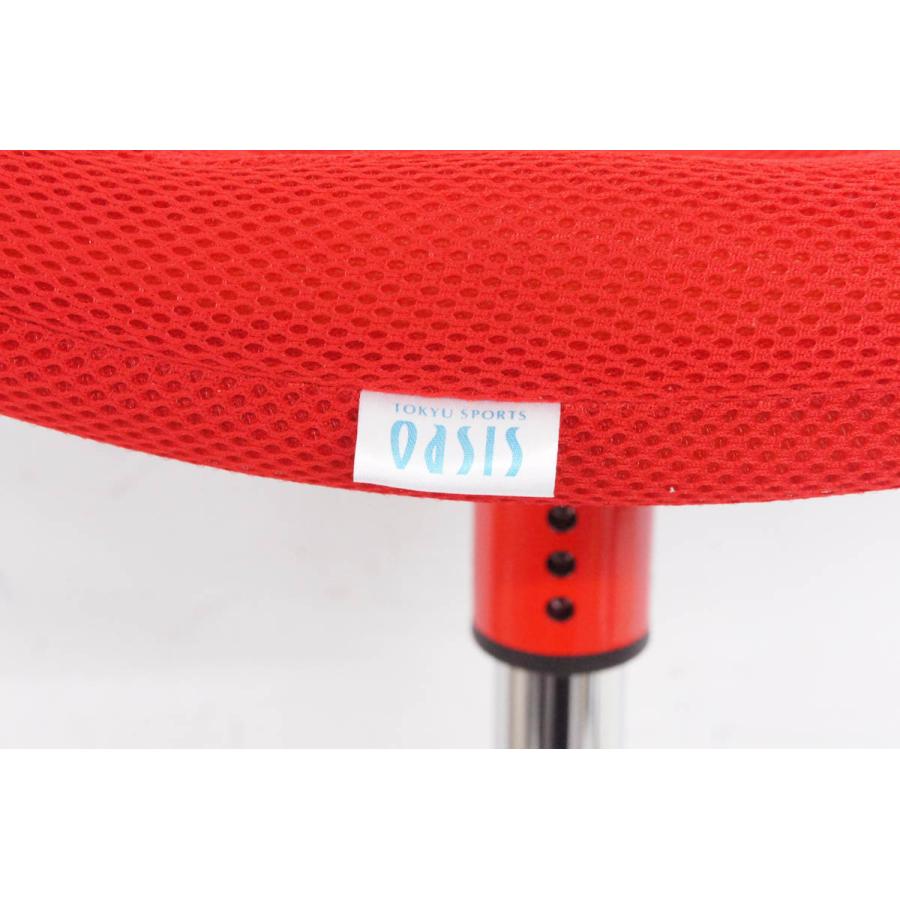 フィットネスクラブがつくったスクワットシェイプ東急スポーツ SQ-100