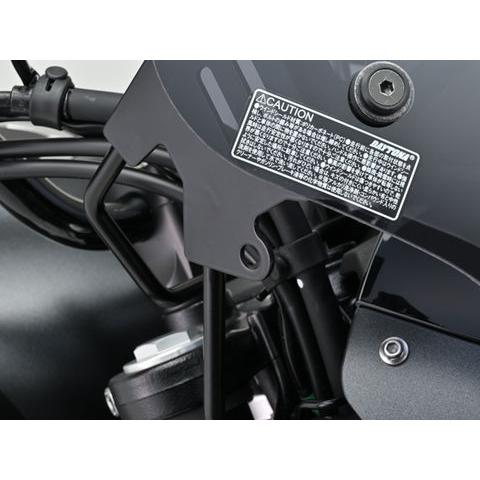 DAYTONA（デイトナ） 42235 DAYTONA ウインドシールド SS ELIMINATOR