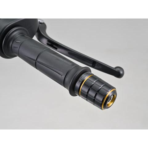 DAYTONA（バイク用品） 42588 DAYTONA デイトナ PREMIUM ZONE