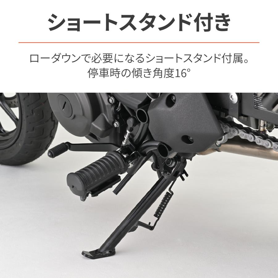 DAYTONA（デイトナ） 46775 DAYTONA ローダウンキット ELIMINATOR/SE