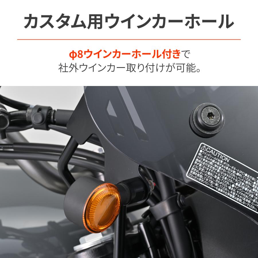 49666 DAYTONA デイトナ ウインドシールドRS スモーク ELIMINATOR（'24）8BL-EL400A