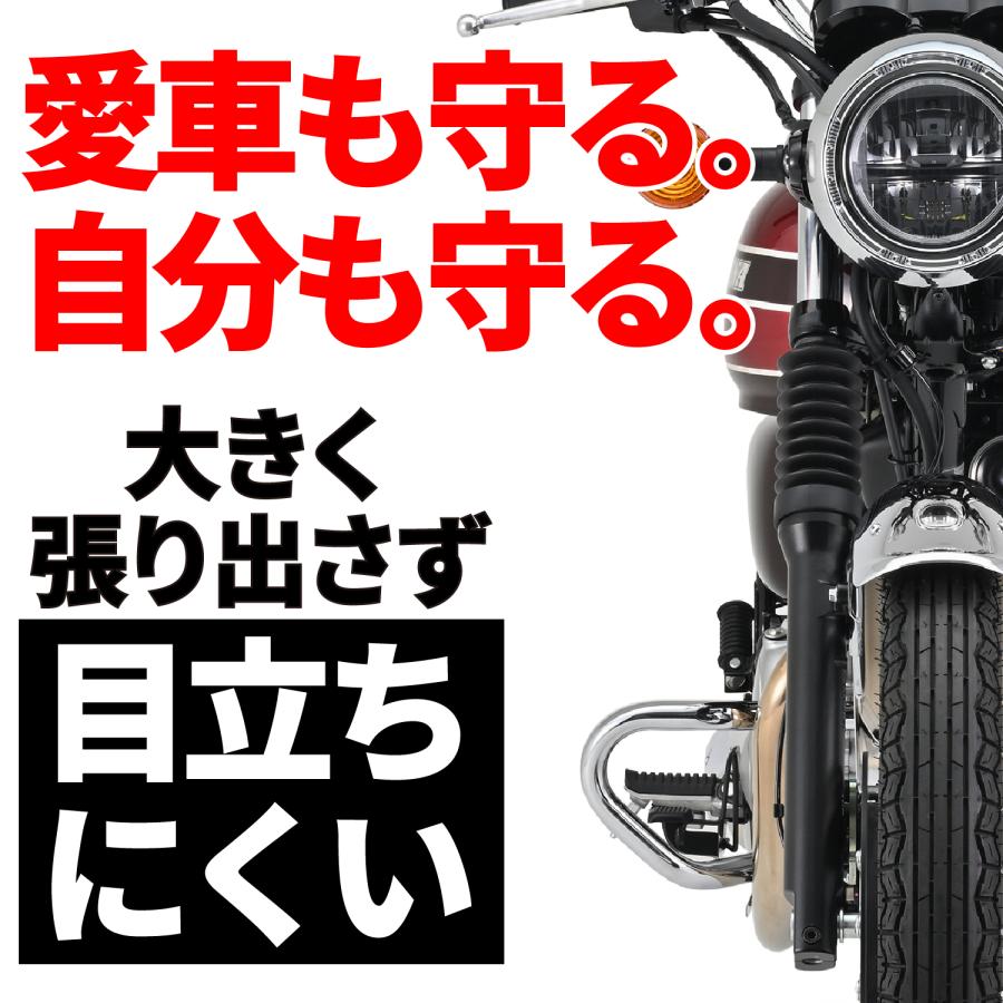 DAYTONA（デイトナ） 61565 DAYTONA パイプエンジンガード W230