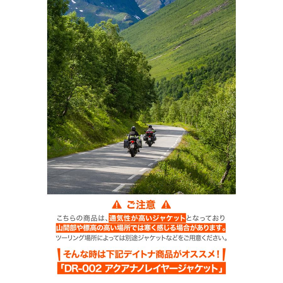 66464 DAYTONA デイトナ DP-024 AEROFRAMEインナープロテクター ブラック Lサイズ | DAYTONA（バイク用品） | 08